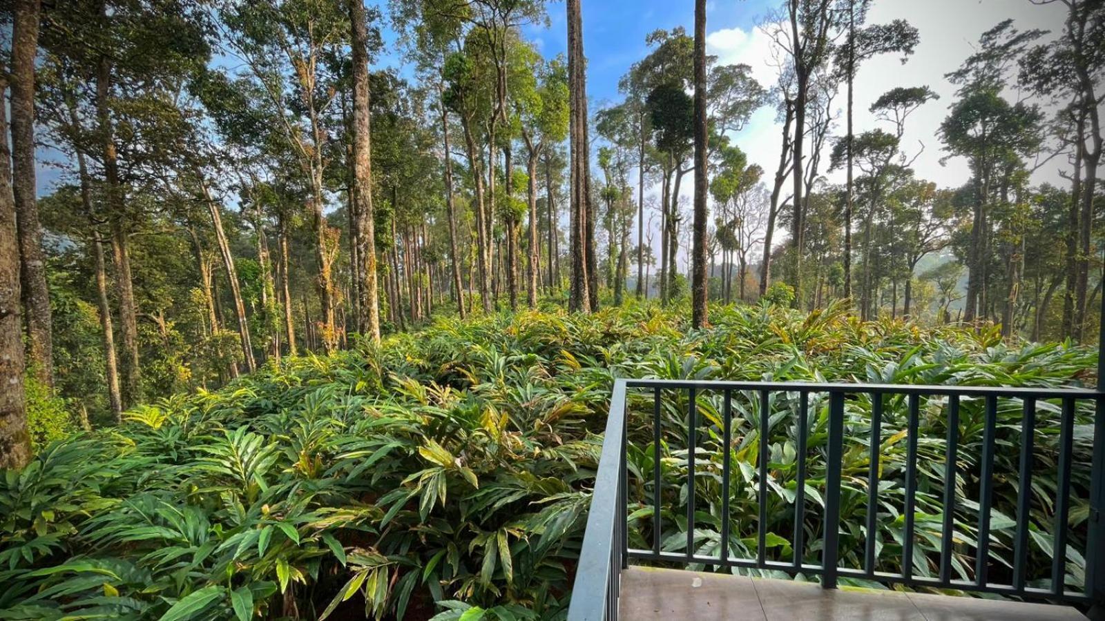 Forestscape Resort Munnar Exterior photo