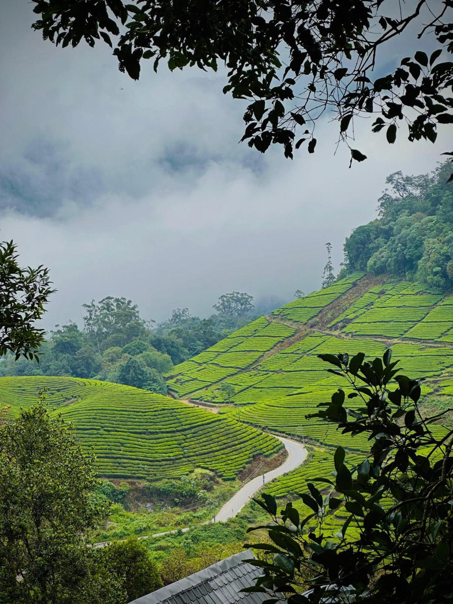 Forestscape Resort Munnar Exterior photo